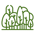 Icon Kulturentwicklung